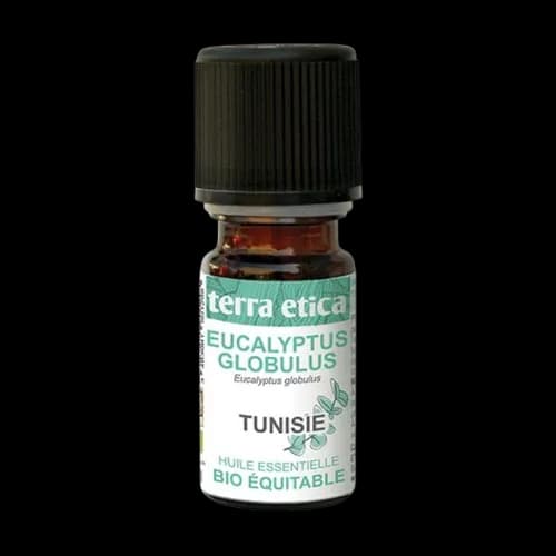 he-eucalyptus