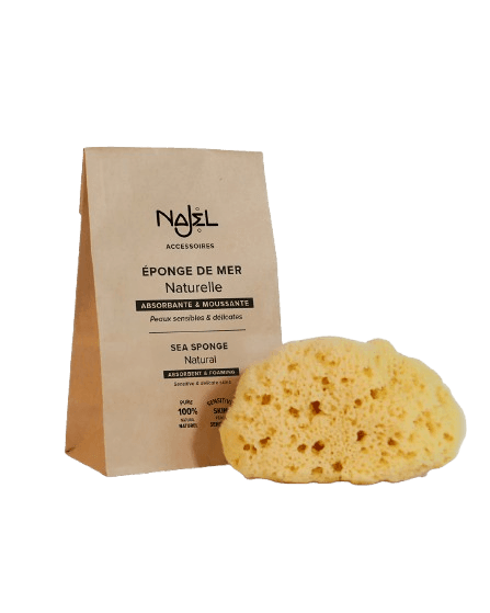 image-removebg-preview (15)