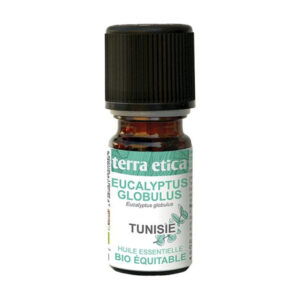 Huile Essentielle Eucalyptus Globulus – 5ml – Terra Etica