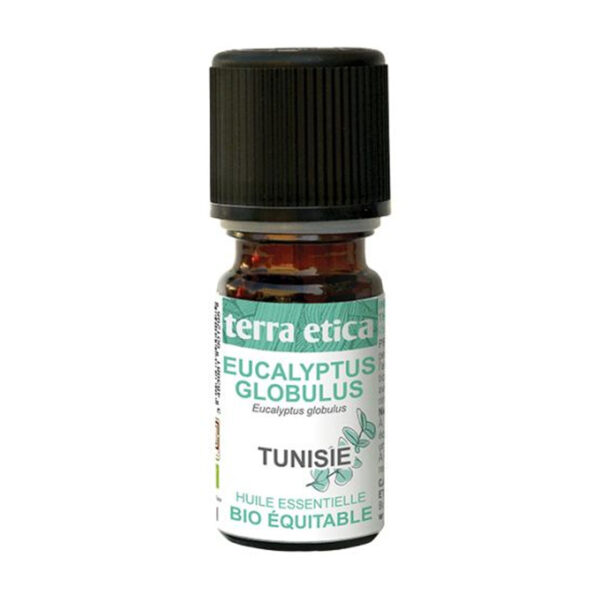 Huile Essentielle Eucalyptus Globulus – 5ml – Terra Etica