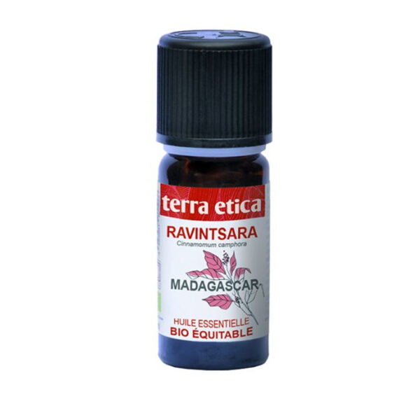 Huile essentielle de Ravintsara bio – 10ml – Terra Etica
